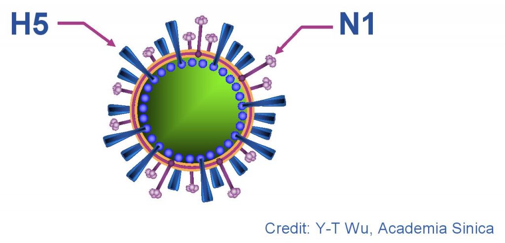 Bệnh H5N1 ở gia cầm